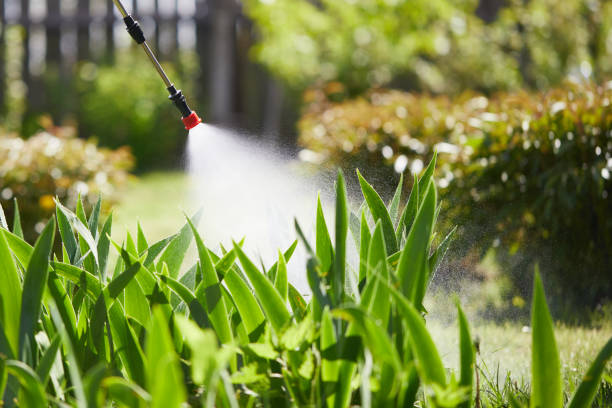 24/7 Emergency Mosquito Control experts in Blue Point, NY